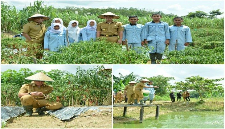 Peninjauan Kebun dan Kolam SMK PP Pemayung, Kabupaten Batanghari